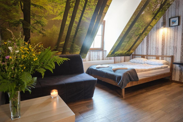 Villa Biesisko - SPA Przysłup Cisna - Zdjęcie 2